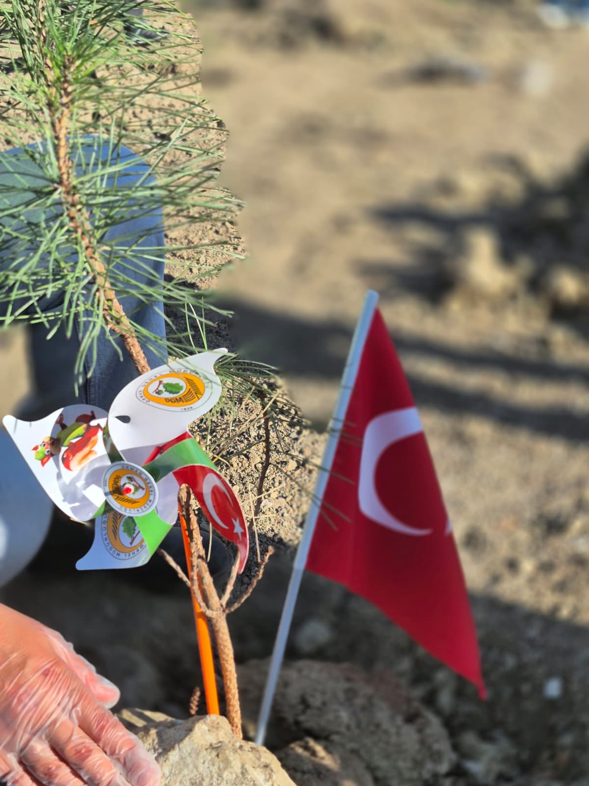 Doğa Platformu 11 Kasım Milli Ağaçlandırma Günü Etkinliği- Umudu toprağa ektik.